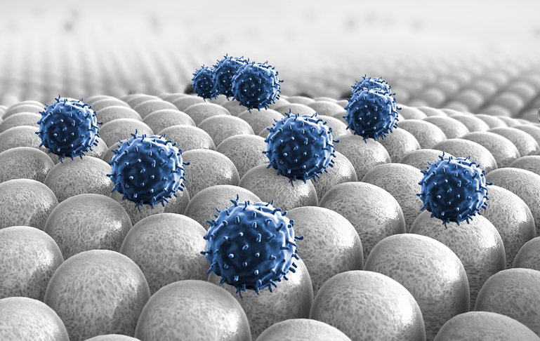 Step 1 - Plating of PBMC in 96 well microtiter plates