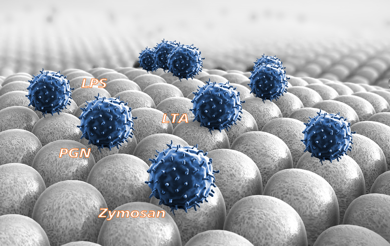 Step 2 - Addition of the test substance